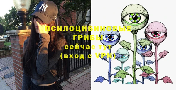 прущая мука Богородск