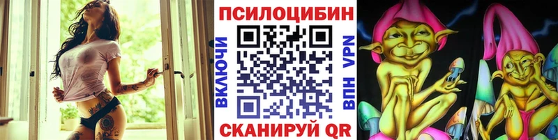 Галлюциногенные грибы Magic Shrooms закладка Кудрово